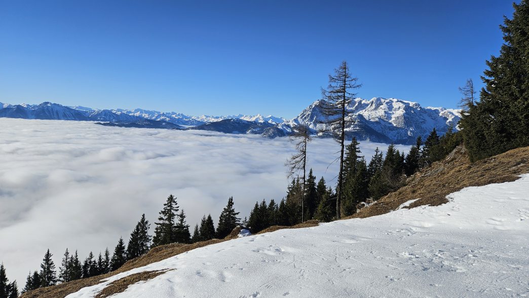 Foto: Manfred Karl / Schneeschuhtour / Von Werfenweng zur Elmaualm (1513 m) / 08.05.2026 13:35:40
