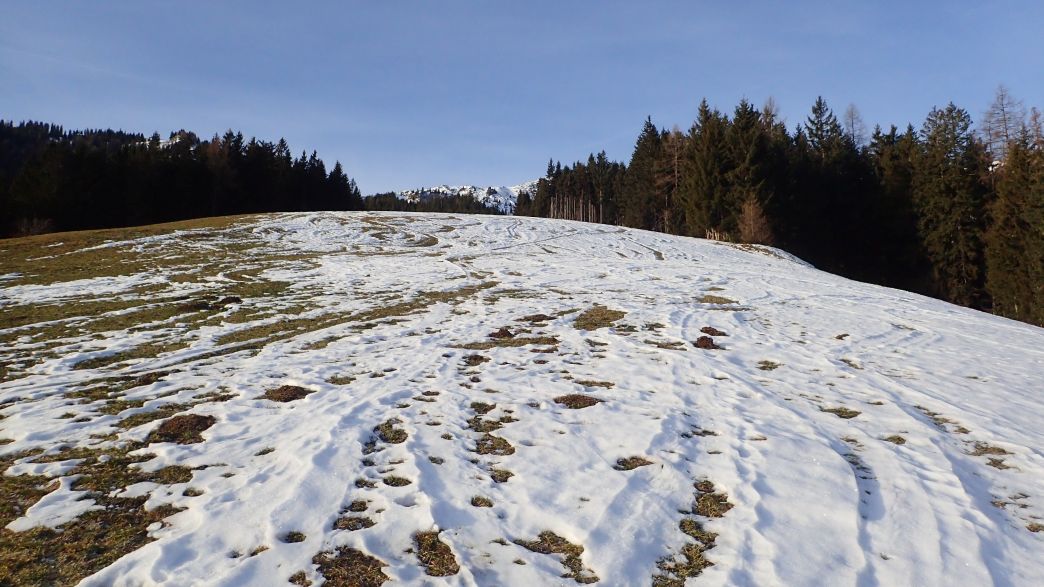 Foto: Manfred Karl / Schneeschuhtour / Mit Schneeschuhen auf den Klingspitz (1988 m) und Hochkasern (2017 m) / Aufstieg von Dacheben über die aufgelassene Piste / 08.05.2026 16:31:57