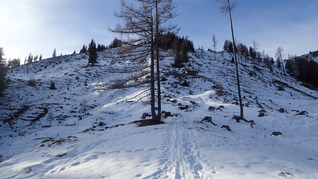 Foto: Manfred Karl / Schneeschuhtour / Mit Schneeschuhen auf den Klingspitz (1988 m) und Hochkasern (2017 m) / Nach dem Waldstück betritt man endgültig freies Gelände / 08.05.2026 16:30:14