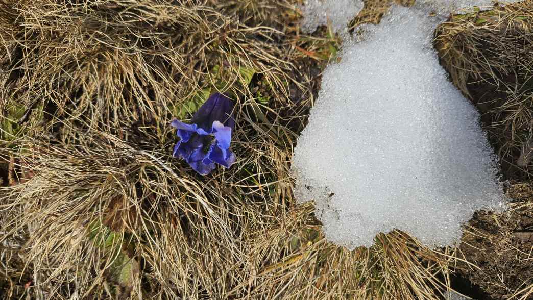 Foto: Manfred Karl / Schneeschuhtour / Mit Schneeschuhen auf den Klingspitz (1988 m) und Hochkasern (2017 m) / Irrtum in der Jahreszeit? An einem 22.12.! / 08.05.2026 16:25:46