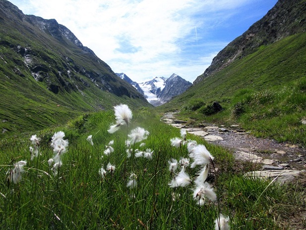 Foto: Andreas Koller / Klettersteigtour / Klettersteig Hohe Mut (2670m) / 14.05.2026 01:48:52