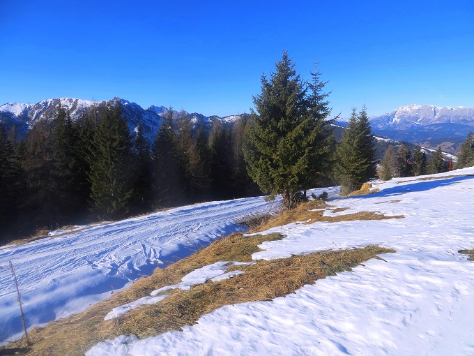 Foto: Andreas Koller / Skitour / Pistenskitour Mooskopf (1961m) / 20.05.2026 00:48:33