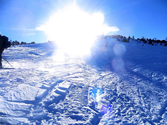 Foto: Andreas Koller / Skitour / Pistenskitour Mooskopf (1961m) / 20.05.2026 00:48:03