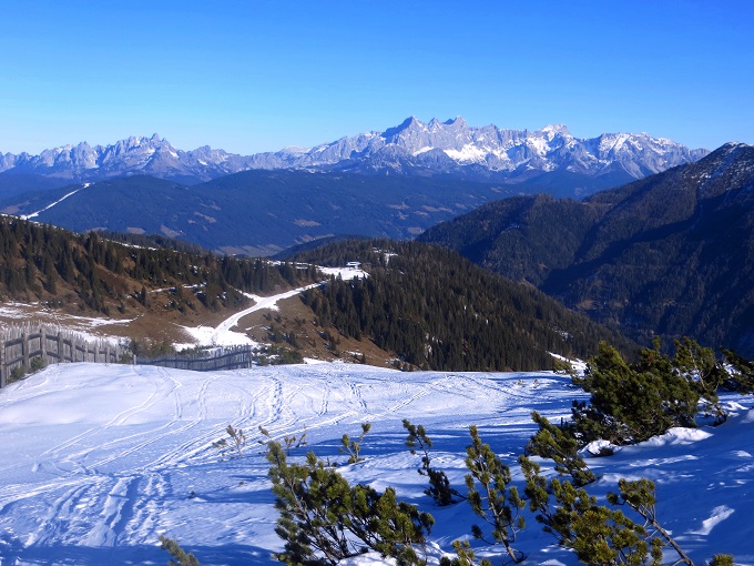 Foto: Andreas Koller / Skitour / Pistenskitour Mooskopf (1961m) / 20.05.2026 00:47:58