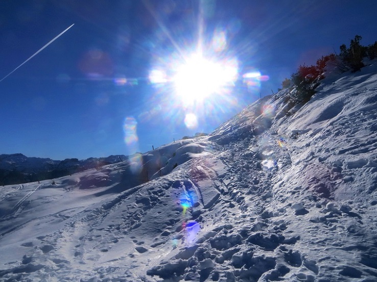 Foto: Andreas Koller / Skitour / Pistenskitour Mooskopf (1961m) / 20.05.2026 00:47:37