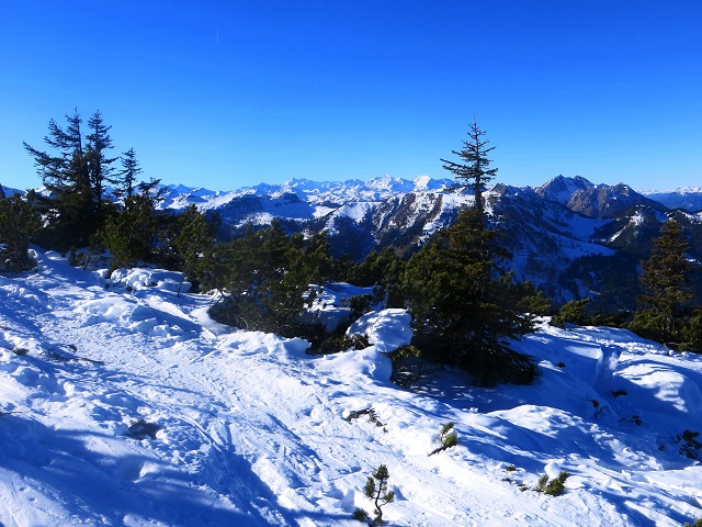 Foto: Andreas Koller / Skitour / Pistenskitour Mooskopf (1961m) / 20.05.2026 00:47:27