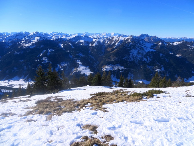 Foto: Andreas Koller / Skitour / Pistenskitour Mooskopf (1961m) / 20.05.2026 00:44:57