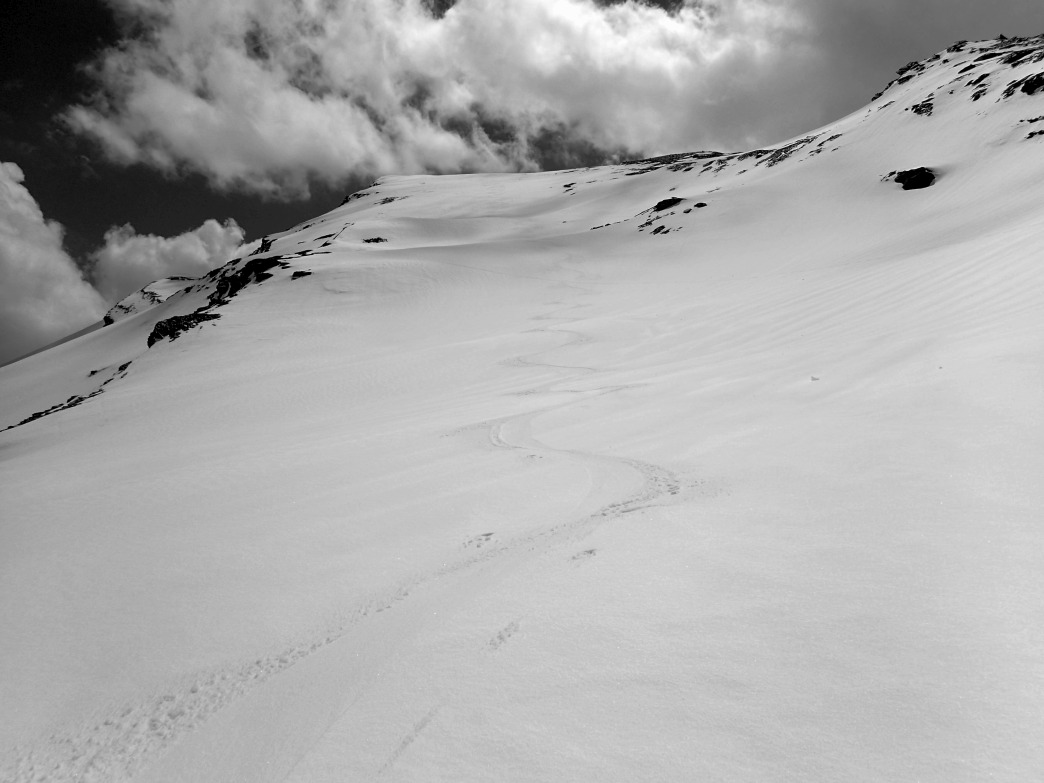Foto: Manfred Karl / Skitour / Noespitze (3005 m) und Herbertturm (2971 m) aus dem Seidlwinkltal / Gipfelhang Noespitze / 23.06.2026 14:51:28