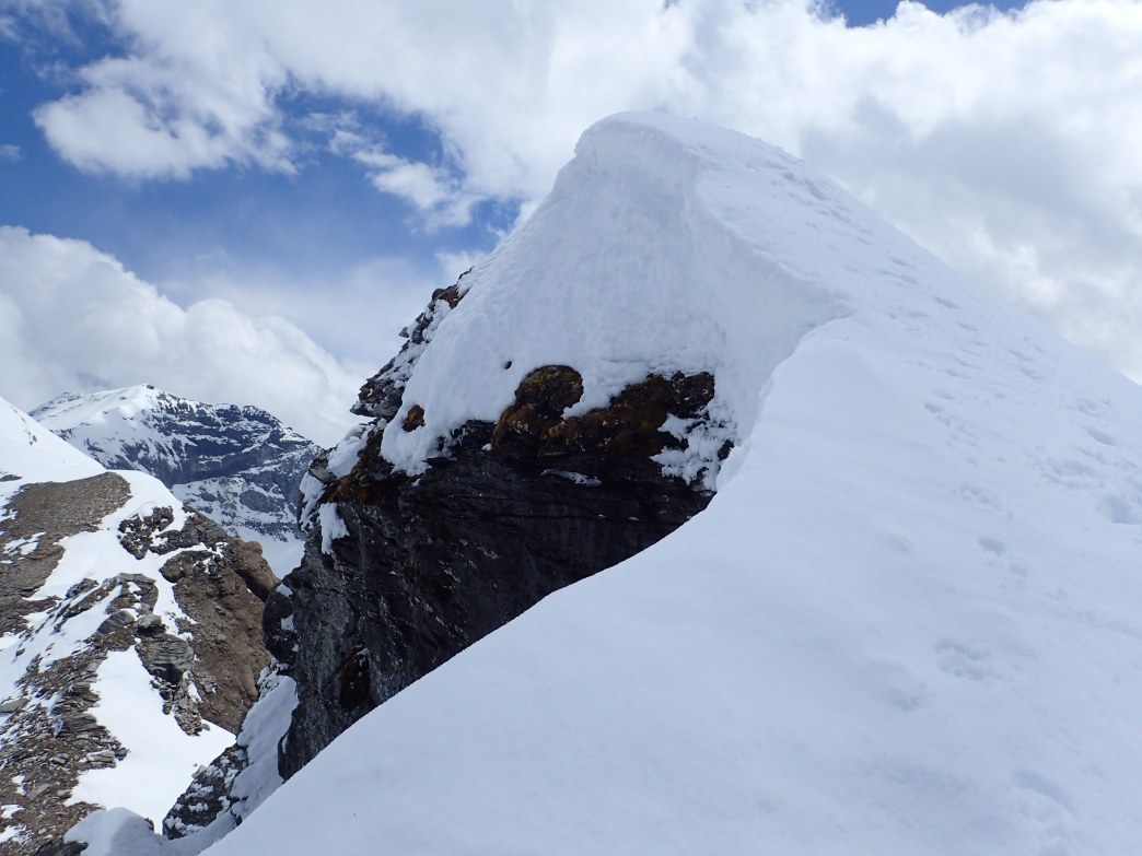 Foto: Manfred Karl / Skitour / Noespitze (3005 m) und Herbertturm (2971 m) aus dem Seidlwinkltal / 23.06.2026 14:48:17
