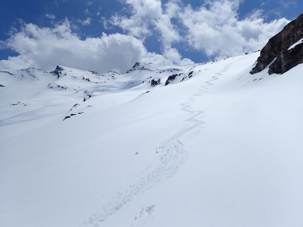 Foto: Manfred Karl / Skitour / Noespitze (3005 m) und Herbertturm (2971 m) aus dem Seidlwinkltal / 23.06.2026 14:45:55