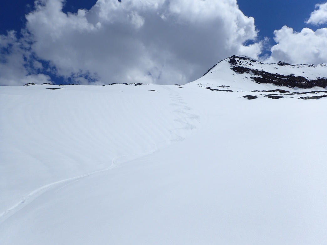 Foto: Manfred Karl / Skitour / Noespitze (3005 m) und Herbertturm (2971 m) aus dem Seidlwinkltal / Abfahrt ins Weißenbachtal / 23.06.2026 14:42:05