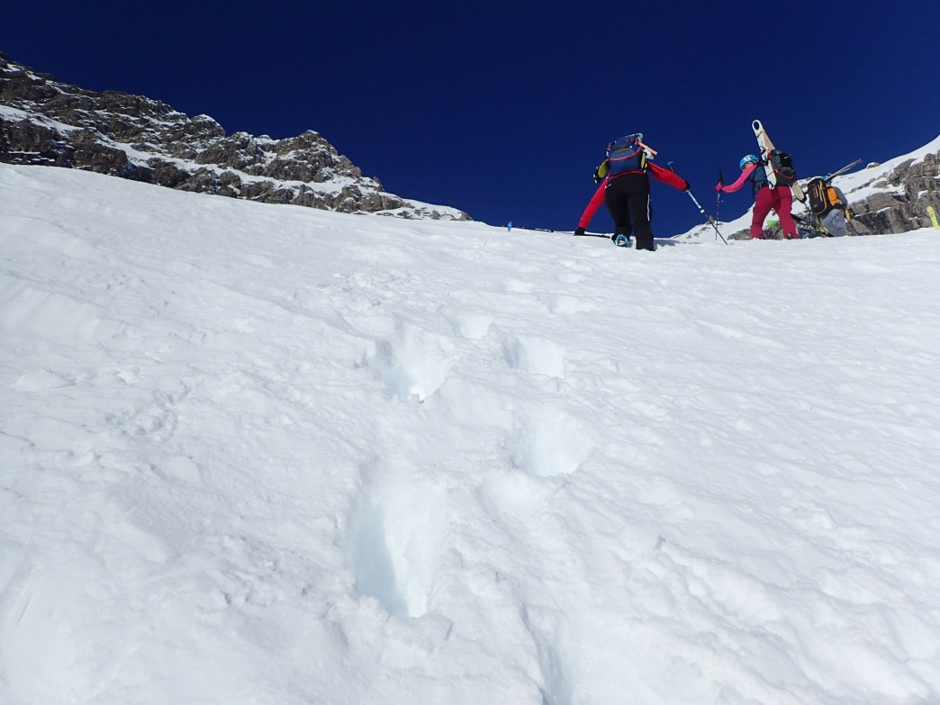 Foto: Manfred Karl / Skitour / Widderstein Ostgratscharte (2345 m) – Geißhorn (2366 m) / 23.06.2026 11:26:14