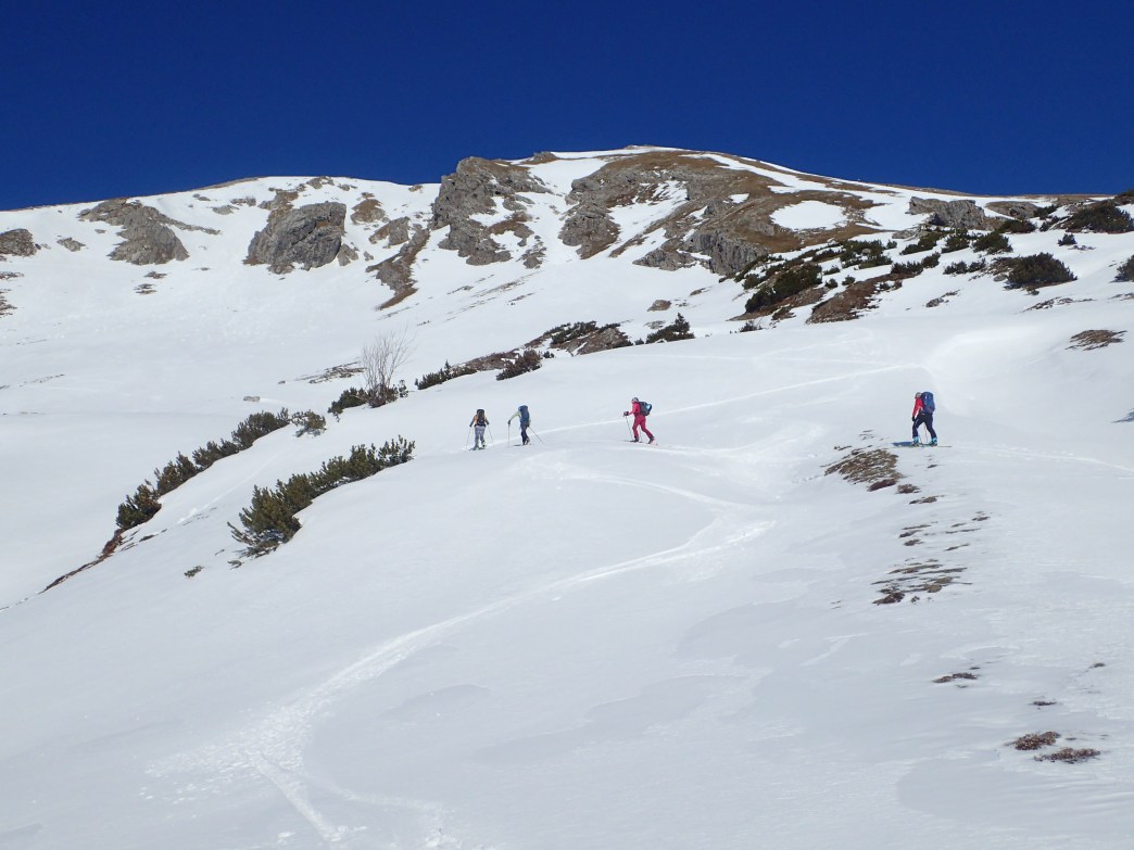 Foto: Manfred Karl / Skitour / Widderstein Ostgratscharte (2345 m) – Geißhorn (2366 m) / 23.06.2026 11:16:14