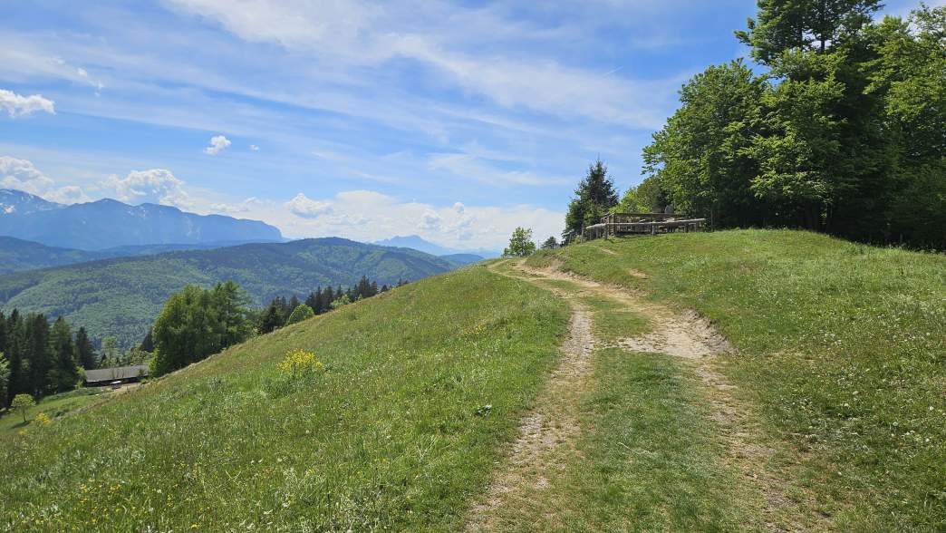 Foto: Manfred Karl / Wandertour / Hongar (943 m) vom Vöcklaberg / Vor dem Panoramaplatz / 09.06.2026 19:12:31
