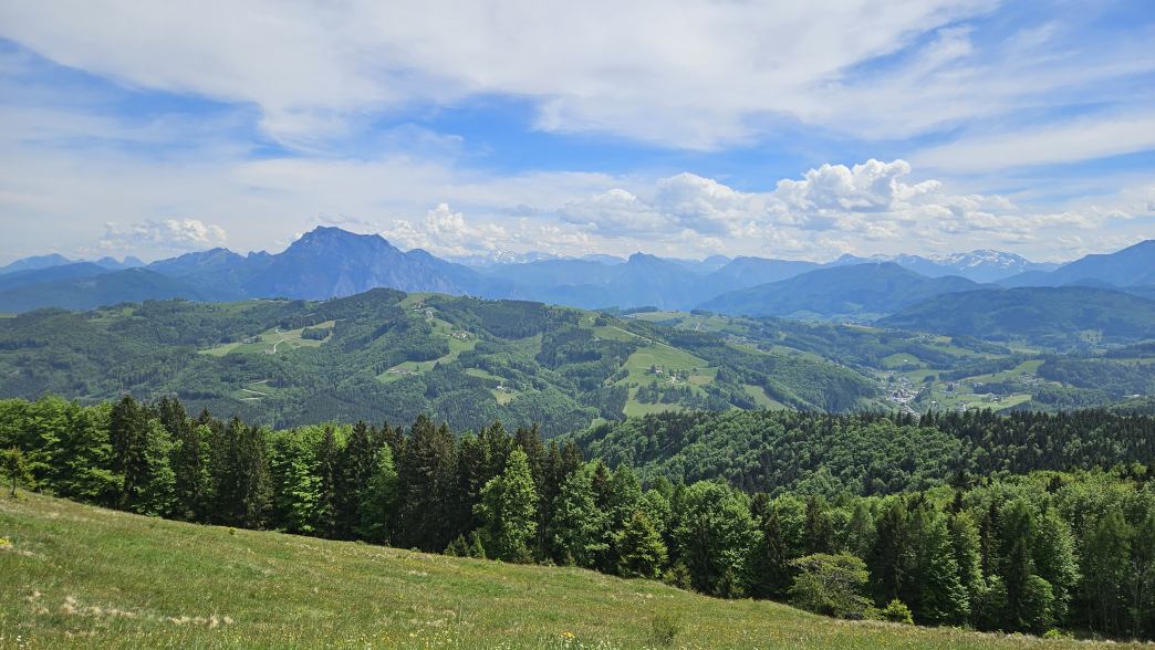 Foto: Manfred Karl / Wandertour / Hongar (943 m) vom Vöcklaberg / Traunstein und Totes Gebirge / 09.06.2026 19:12:11