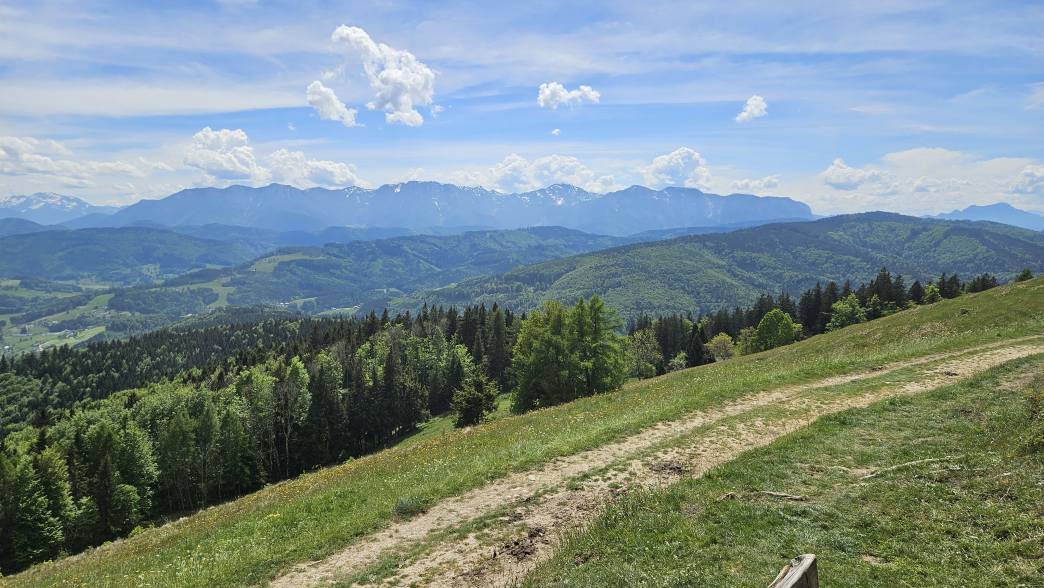 Foto: Manfred Karl / Wandertour / Hongar (943 m) vom Vöcklaberg / Höllengebirge / 09.06.2026 19:11:42