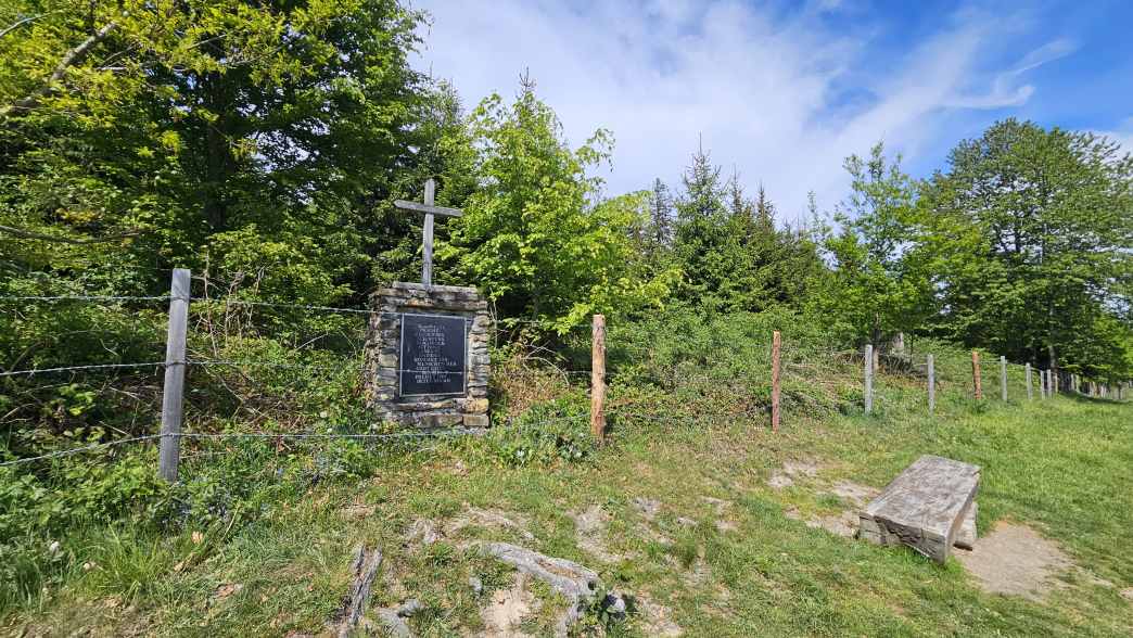 Foto: Manfred Karl / Wandertour / Hongar (943 m) vom Vöcklaberg / Gipfelkreuz am Hongar / 09.06.2026 19:10:35