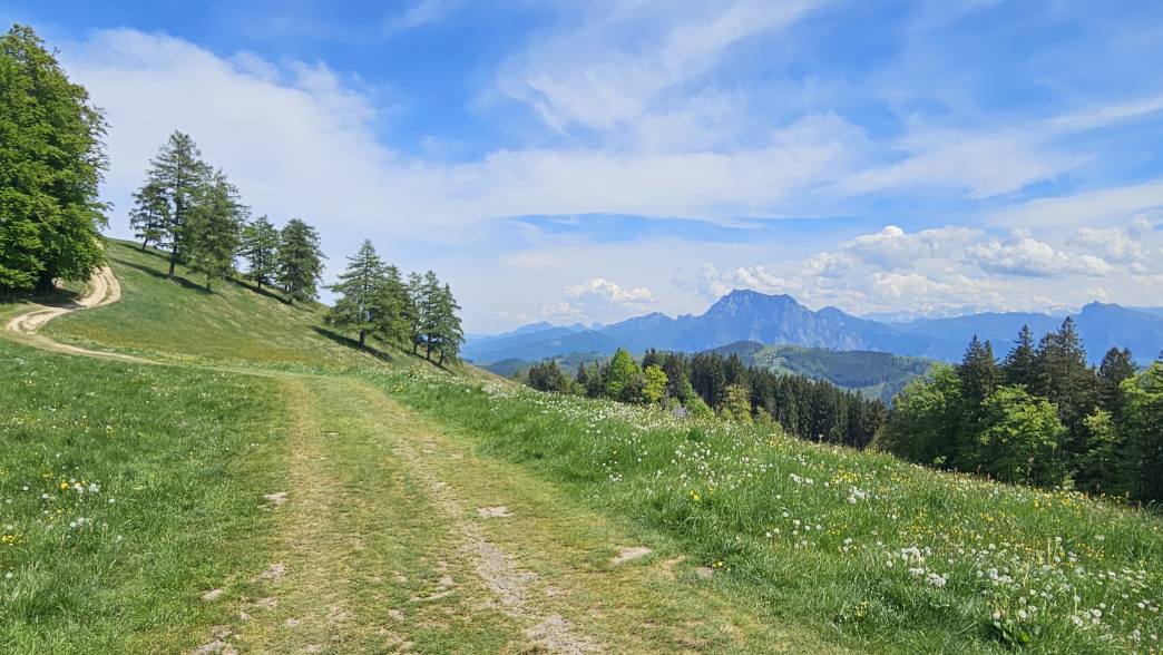 Foto: Manfred Karl / Wandertour / Hongar (943 m) vom Vöcklaberg / Kurzer Abstieg nach Westen / 09.06.2026 19:10:21