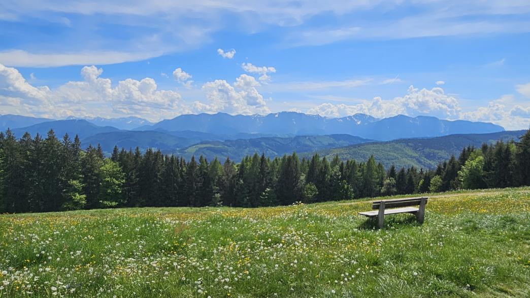 Foto: Manfred Karl / Wandertour / Hongar (943 m) vom Vöcklaberg / Rastplatz am Weg zum Gasthof Schwarz / 09.06.2026 19:10:02