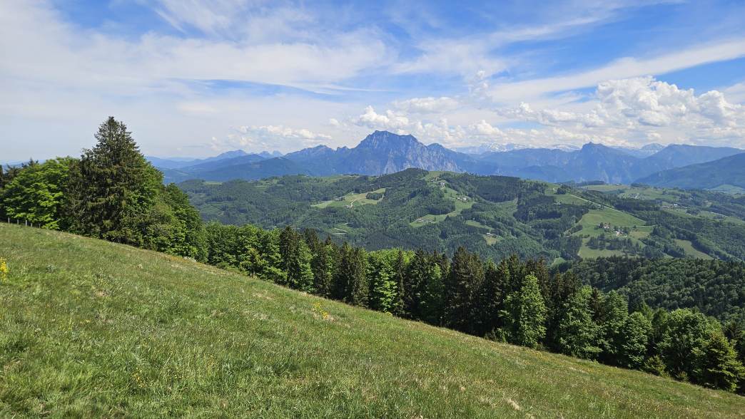 Foto: Manfred Karl / Wandertour / Hongar (943 m) vom Vöcklaberg / 09.06.2026 19:09:33