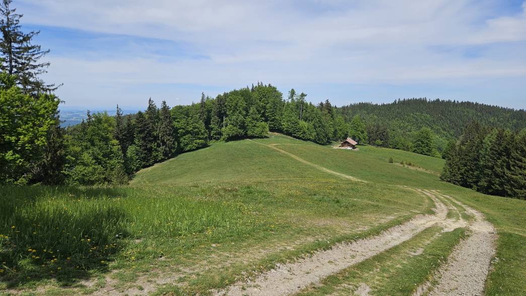 Foto: Manfred Karl / Wandertour / Hongar (943 m) vom Vöcklaberg / Rückweg vom Hongar / 09.06.2026 19:09:20