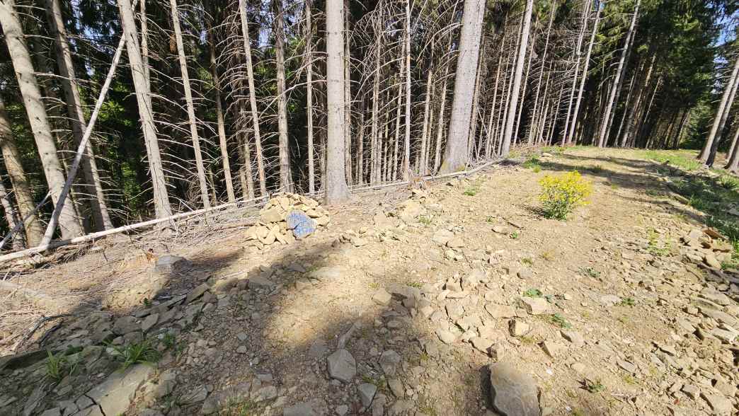 Foto: Manfred Karl / Wandertour / Hongar (943 m) vom Vöcklaberg / Hohe Luft / 09.06.2026 19:08:35