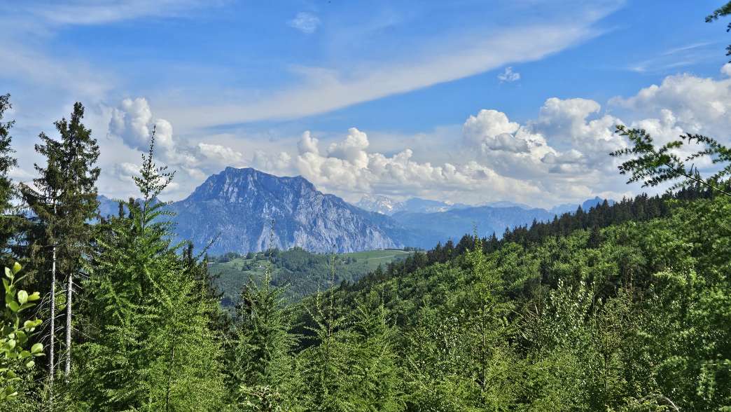Foto: Manfred Karl / Wandertour / Hongar (943 m) vom Vöcklaberg / Traunstein / 09.06.2026 19:08:22