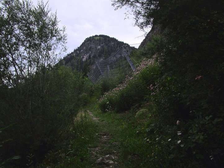 Foto: Andreas Koller / Klettersteigtour / Ostrachtaler Klettersteig (1228m) / 17.06.2026 01:35:45