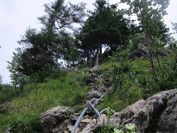Foto: Andreas Koller / Klettersteigtour / Ostrachtaler Klettersteig (1228m) / Ausstieg im lichten Wald / 17.06.2026 01:31:22