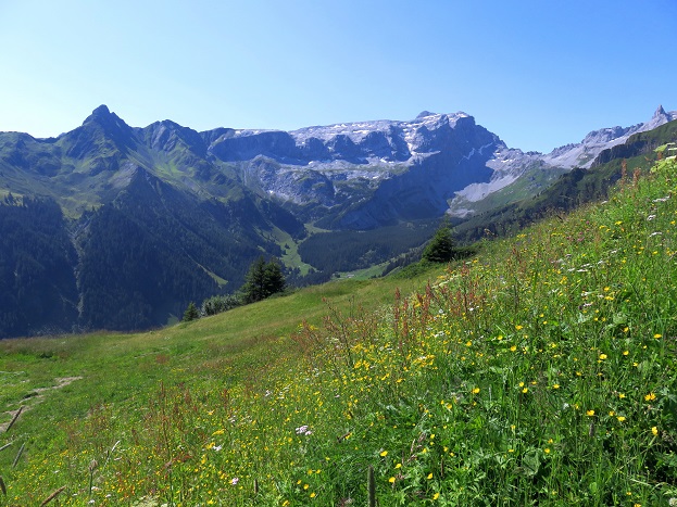 Foto: Andreas Koller / Wandertour / Panoramarunde über Tschagguns (2334m) / Start am Grüneck / 24.06.2026 02:15:43