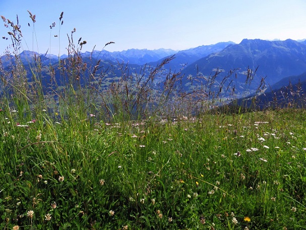 Foto: Andreas Koller / Wandertour / Panoramarunde über Tschagguns (2334m) / 24.06.2026 02:15:27