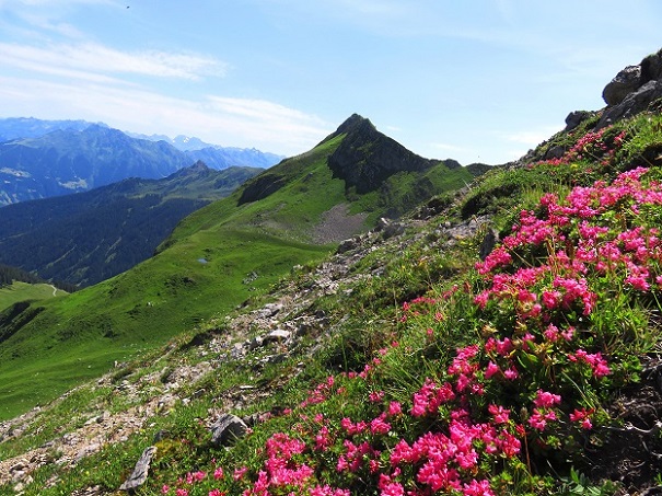 Foto: Andreas Koller / Wandertour / Panoramarunde über Tschagguns (2334m) / 24.06.2026 02:13:00