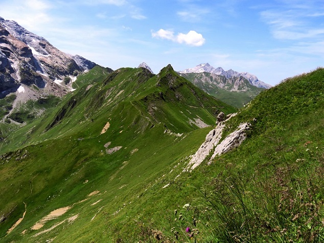 Foto: Andreas Koller / Wandertour / Panoramarunde über Tschagguns (2334m) / Abstieg von der Geißspitze / 24.06.2026 02:09:24