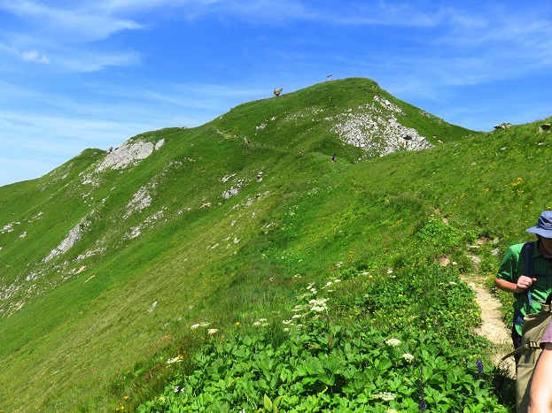 Foto: Andreas Koller / Wandertour / Panoramarunde über Tschagguns (2334m) / 24.06.2026 02:08:56