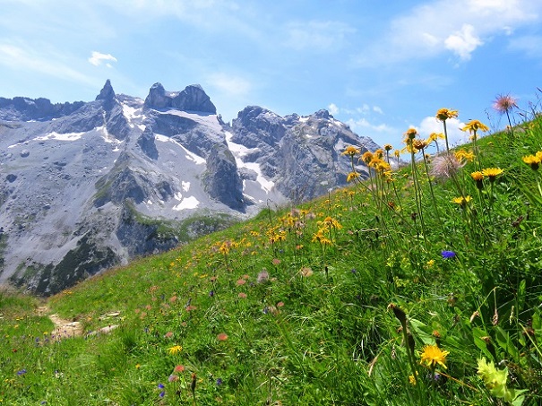 Foto: Andreas Koller / Wandertour / Panoramarunde über Tschagguns (2334m) / Drei Türme vom Abstieg Geißspitze / 24.06.2026 02:17:05