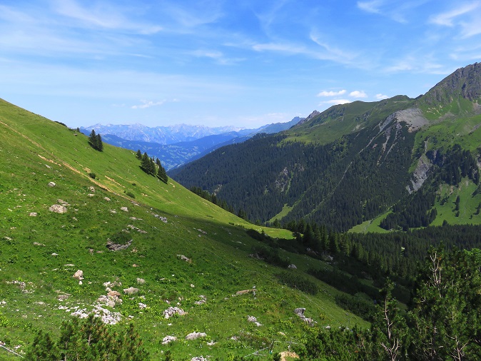 Foto: Andreas Koller / Wandertour / Panoramarunde über Tschagguns (2334m) / 24.06.2026 02:07:53