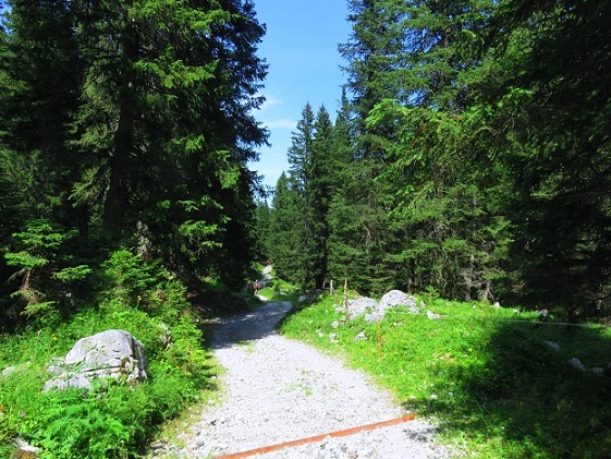 Foto: Andreas Koller / Wandertour / Panoramarunde über Tschagguns (2334m) / 24.06.2026 02:06:13