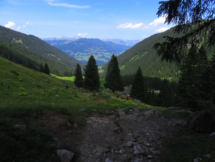 Foto: Andreas Koller / Wandertour / Panoramarunde über Tschagguns (2334m) / 24.06.2026 02:06:06