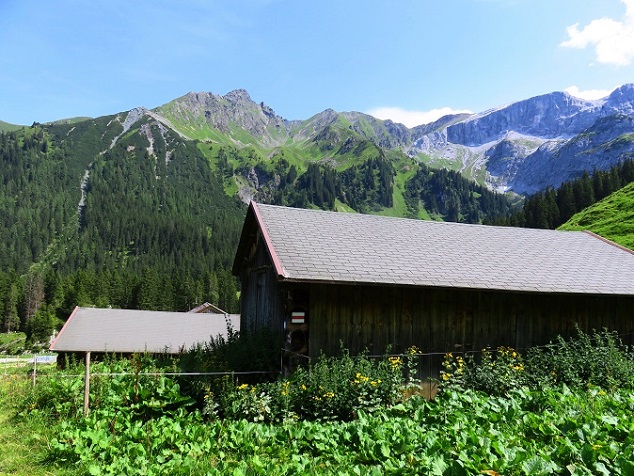 Foto: Andreas Koller / Wandertour / Panoramarunde über Tschagguns (2334m) / 24.06.2026 02:05:59