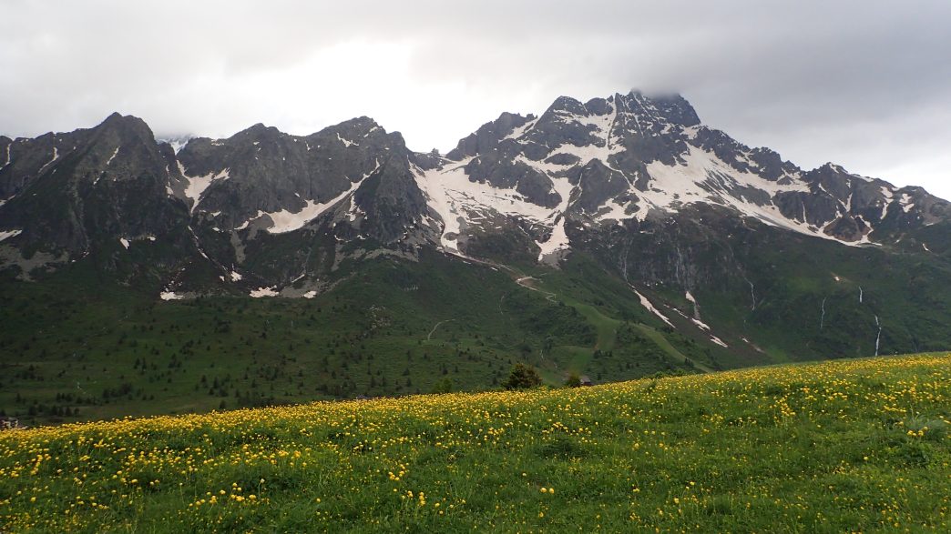Foto: Manfred Karl / Wandertour / Monte Tonale Occidentale (2694 m) / Die Gipfel der Adamellogruppe sind ganztags in Wolken gehüllt / 19.07.2026 19:58:29