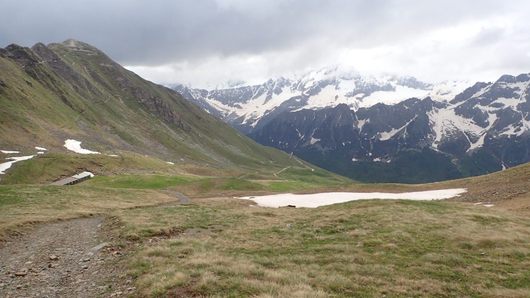 Foto: Manfred Karl / Wandertour / Monte Tonale Occidentale (2694 m) / 19.07.2026 19:56:31