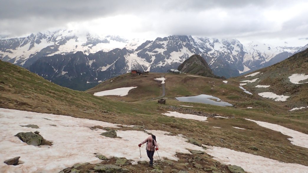 Foto: Manfred Karl / Wandertour / Monte Tonale Occidentale (2694 m) / 19.07.2026 19:56:00