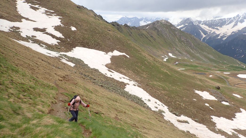 Foto: Manfred Karl / Wandertour / Monte Tonale Occidentale (2694 m) / 19.07.2026 19:55:49