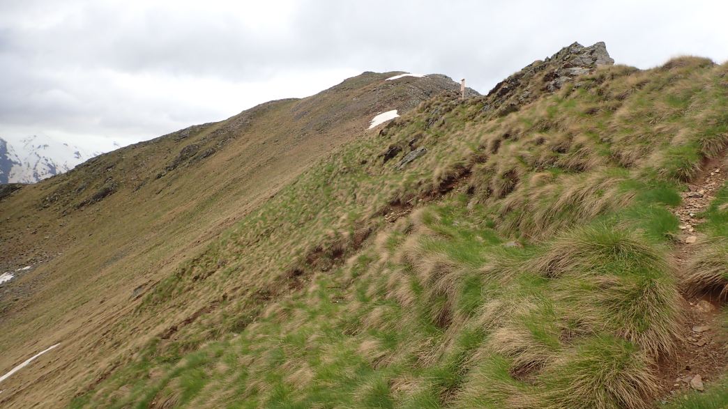 Foto: Manfred Karl / Wandertour / Monte Tonale Occidentale (2694 m) / 19.07.2026 19:55:29