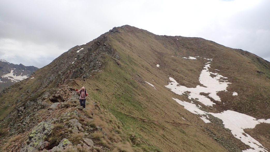 Foto: Manfred Karl / Wandertour / Monte Tonale Occidentale (2694 m) / Kurz vor dem Sattel zwischen Cima Bleis und Monte Tonale Occidentale / 19.07.2026 19:55:22