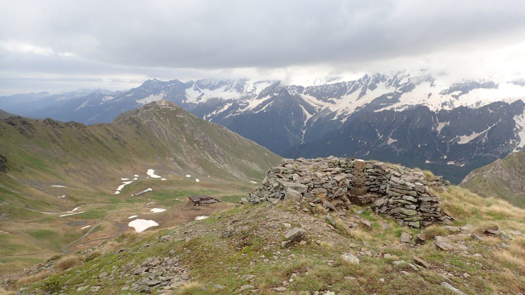 Foto: Manfred Karl / Wandertour / Monte Tonale Occidentale (2694 m) / Auf der Cima Bleis / 19.07.2026 19:54:20