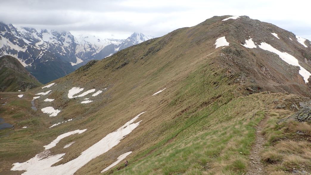 Foto: Manfred Karl / Wandertour / Monte Tonale Occidentale (2694 m) / 19.07.2026 19:52:56