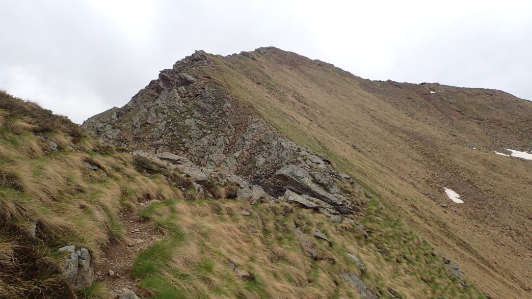 Foto: Manfred Karl / Wandertour / Monte Tonale Occidentale (2694 m) / Aufstieg zum Monte Tonale Occidentale / 19.07.2026 19:52:43