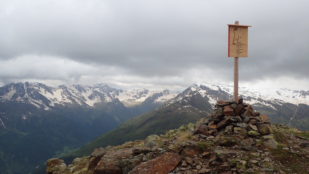 Foto: Manfred Karl / Wandertour / Monte Tonale Occidentale (2694 m) / 19.07.2026 19:04:34