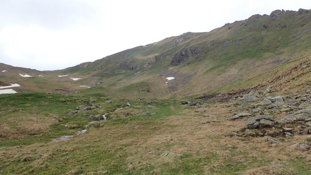 Foto: Manfred Karl / Wandertour / Monte Tonale Occidentale (2694 m) / 19.07.2026 18:59:44